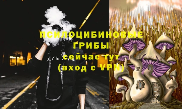 каннабис Каменногорск