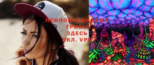 героин Каменка