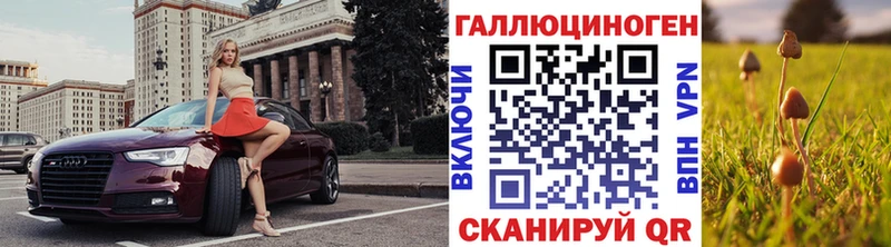 Купить  Геленджик  Псилоцибиновые грибы мицелий 